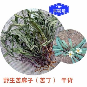 野生干苦麻子干苦丁菜干野苦菜小苦荬菜取麻败酱草包邮药材180克