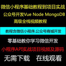 vue实战视频品牌店铺