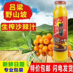 沙棘汁红盖vc果味饮料山西吕梁野山坡饮料300ml*16瓶保健饮料正品