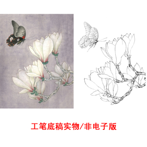 高清国画花卉玉兰工笔画白描底稿线描稿练习实物电子版打印稿328