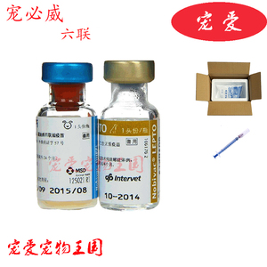 英特威6联的实时信息