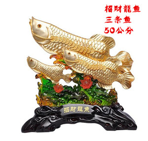 招财龙鱼活体的实时信息