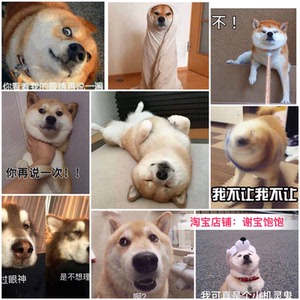下单翻朋友圈可爱图片图片