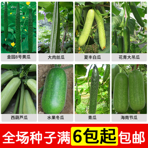 黄瓜冬瓜丝瓜吊瓜青瓜种子高出芽率阳台易种盆栽家庭瓜类系列包邮