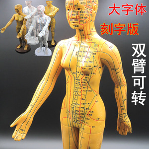 人体穴位图标准大挂图男女 中医养生馆经络挂画全身高清图解海报 ￥