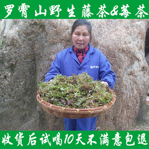 广西野生富硒藤茶勾藤巴马腾茶降血尿酸显齿蛇葡萄叶甜茶龙须莓茶