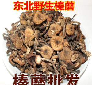 东北山特产黑龙江伊春野生榛蘑菇针蘑干货香菇类草土山货500g包邮