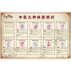 九种体质近期销量