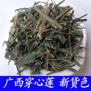 穿心莲药材新货 一见喜 穿心连500g克 苦胆草 四方莲中药材带叶