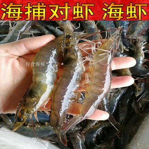鲜活对虾海捕野生小虾 新鲜基围虾 海水海虾青虾白虾活虾海鲜水产