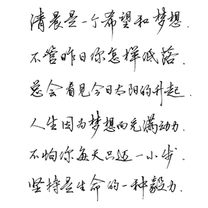 张神农练字帖成人行书行楷书初学者速成行书秘籍反复使用 男女生