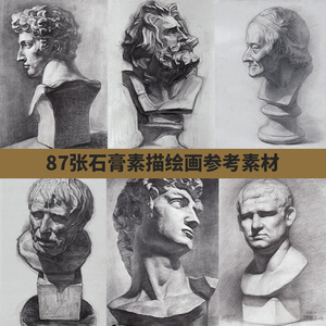 石膏高考素描绘画图片头像素材库大卫海盗阿格里巴伏尔泰小卫素材