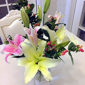  span class=h></p></a>百合 /span>花  span class=h>鲜花 /span>花束水养黄 