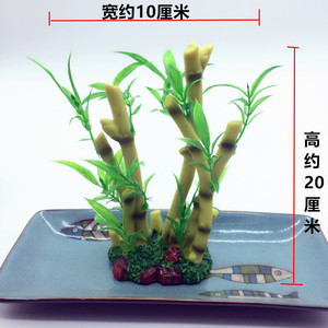 品牌名称: 点缀菜品摆盘创意装饰花草