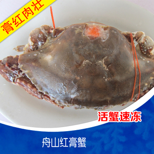 梭子蟹