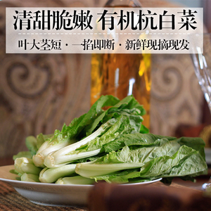 嘉仕有机杭白菜200g时令生鲜青叶菜新鲜蔬菜宝宝辅食现摘满包邮