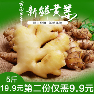 【第二份9.9元】云南特产罗平黄姜新鲜生姜新姜嫩姜蔬菜批发包邮生姜