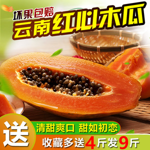 【送4斤发9斤】云南高山红心冰糖木瓜新鲜树冬瓜应季水果特产包邮木瓜水果