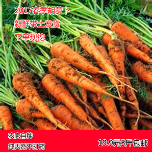 胡萝卜
