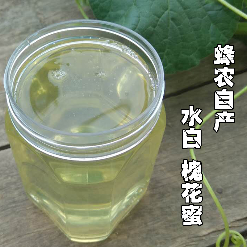 洋槐蜜纯天然农家自产 2017液态原蜜成熟槐花蜜 野生蜂蜜500g包邮