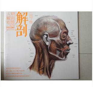 包邮正版一目了然人物解剖专题头骨 肌肉 真人头像与作品对照 -教学