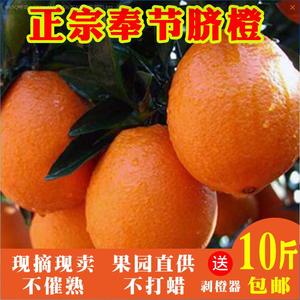 重庆奉节脐橙纽荷尔非赣南新鲜水果孕妇72-1橙子10斤包邮现摘现发新鲜橙子