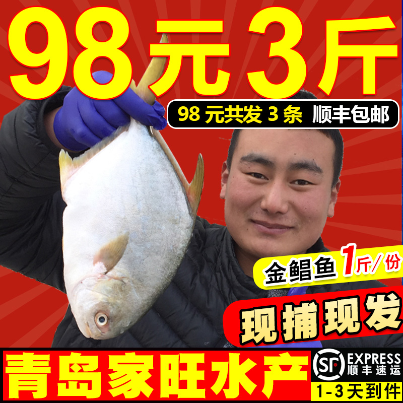 海鱼新鲜金鲳鱼深海金鲳鱼新鲜鱼鲜活水产鲳鱼3斤全场包邮