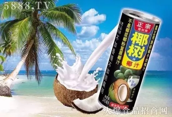 椰树牌椰汁罐装245ml*24