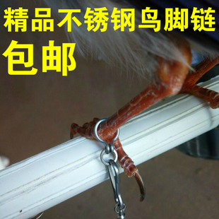 精品不锈钢鸟脚链/鸟脚环/乌鸦/伯劳/蜡嘴/八哥/鹩哥/松鸦/喜鹊等