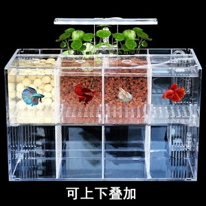 斗鱼缸水族箱多格隔离养鱼孵化隔离盒斗鱼玻璃水族箱鱼繁殖盒幼鱼