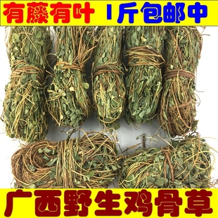 鸡骨草