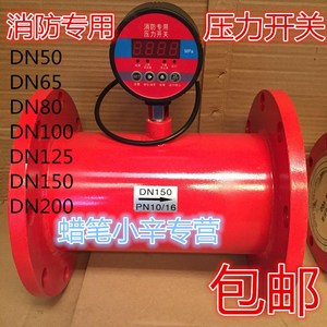 流量开关dn100图片