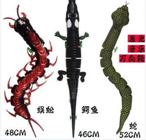 昆虫仿真机器人蜘蛛 span class=h>玩具 /span>电动蜈蚣蛇智能 span