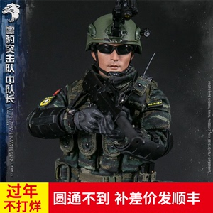 class=h>damtoys /span> 78053 1/6 中国人民武装 雪豹突击队 中队长 