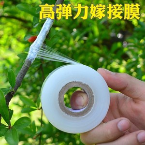 嫁接膜包扎带图片