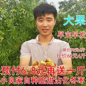 小良冬枣 大果 山东特产沾化甜脆冬枣 鲜枣子5斤 新鲜水果大枣冬枣