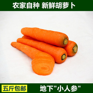 胡萝卜