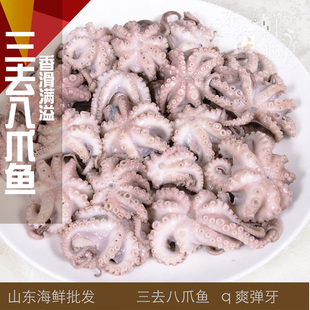 小八爪 冷冻新鲜八爪鱼 章鱼 籽乌 活冻2斤/包 八带鱼48元/包