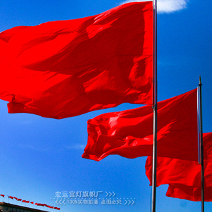 3号大红旗空白红旗 红旗定做 无印字红旗国旗 典礼红旗 学校红旗