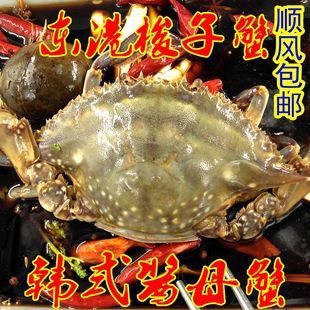 梭子蟹