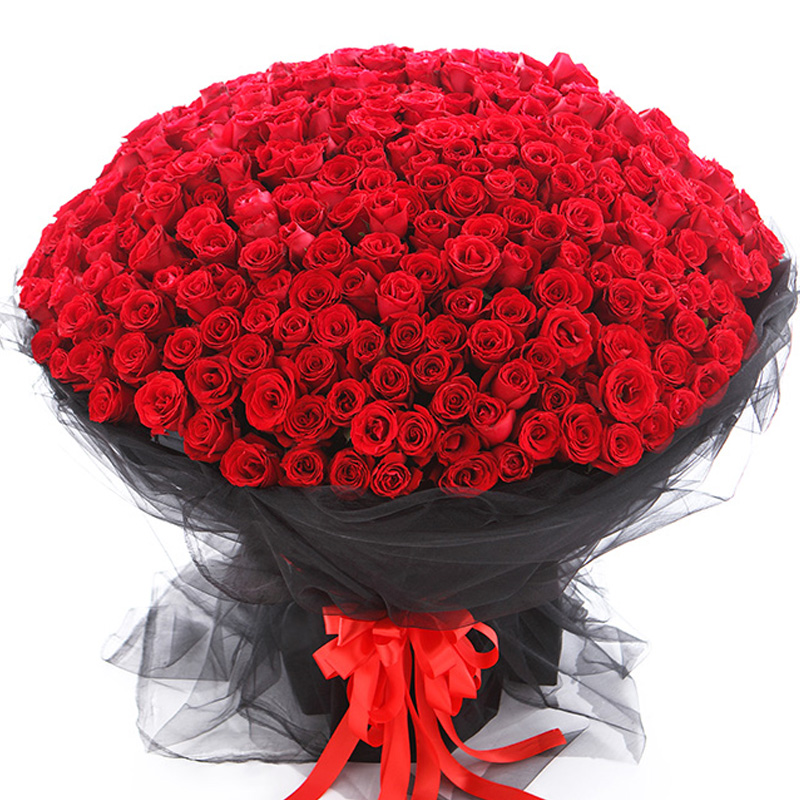 999朵520朵365朵红玫瑰鲜花速递同城广州情人节生日求婚表白