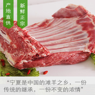 正宗盐池宁夏羊肉 新鲜羊羔肉 盐池滩羊三斤羊排