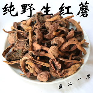 松树伞东北野生蘑菇 500g 红松伞松蘑菇红蘑菇 野生红菇 特级干货