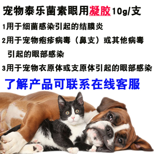 泰乐菌素眼用凝胶犬猫用猫鼻支结膜炎眼疾流泪疱疹病毒鼻支衣原体