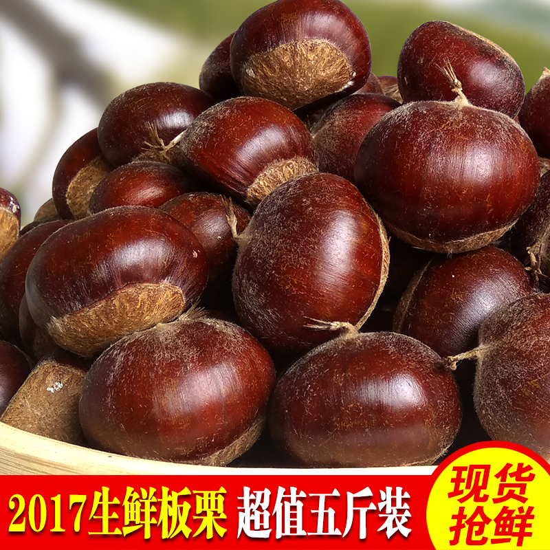 2017泰山特产农家板栗生新鲜5斤装板粟即食坚果毛栗子油板栗 包邮