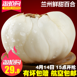 航空包邮甘肃兰州新鲜甜百合500克包邮食用三头特产非特级百合干百合花