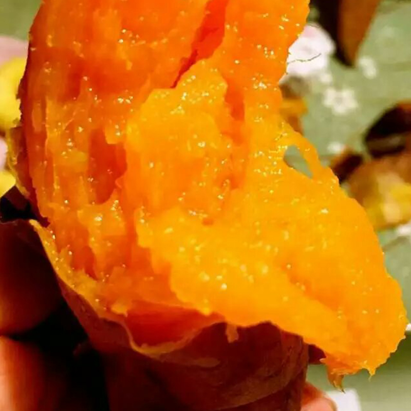 秦岭蜜薯烟薯红心稀瓤地瓜农家沙地收蜜糖心新鲜红薯甘甜5斤