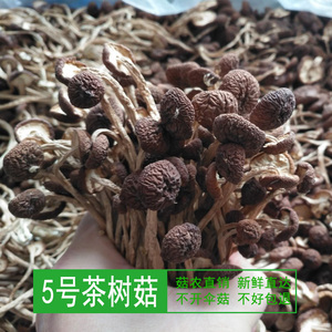 18年广昌茶树菇干货不开伞农家新鲜干货茶树菇 号菇食用菌菇 00克