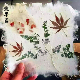 造纸