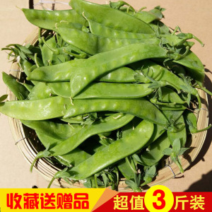 云南新鲜蔬菜农家荷兰豆豌豆小寒豆麦豆绿色蔬菜现摘现发3斤包邮